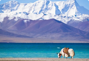 Qinghai tours