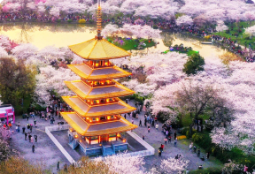 Sichuan tours