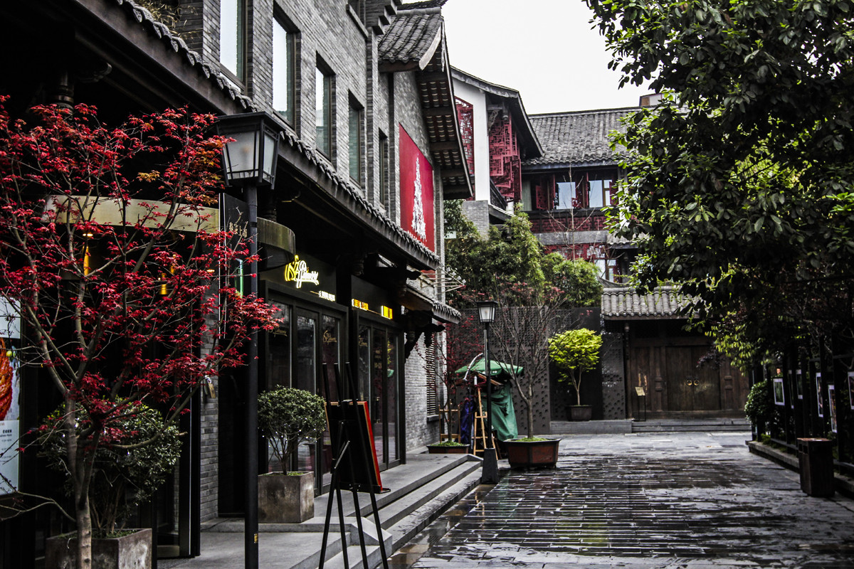 Panda Base, Kuanzhai Alley & People’s Park Day Tour