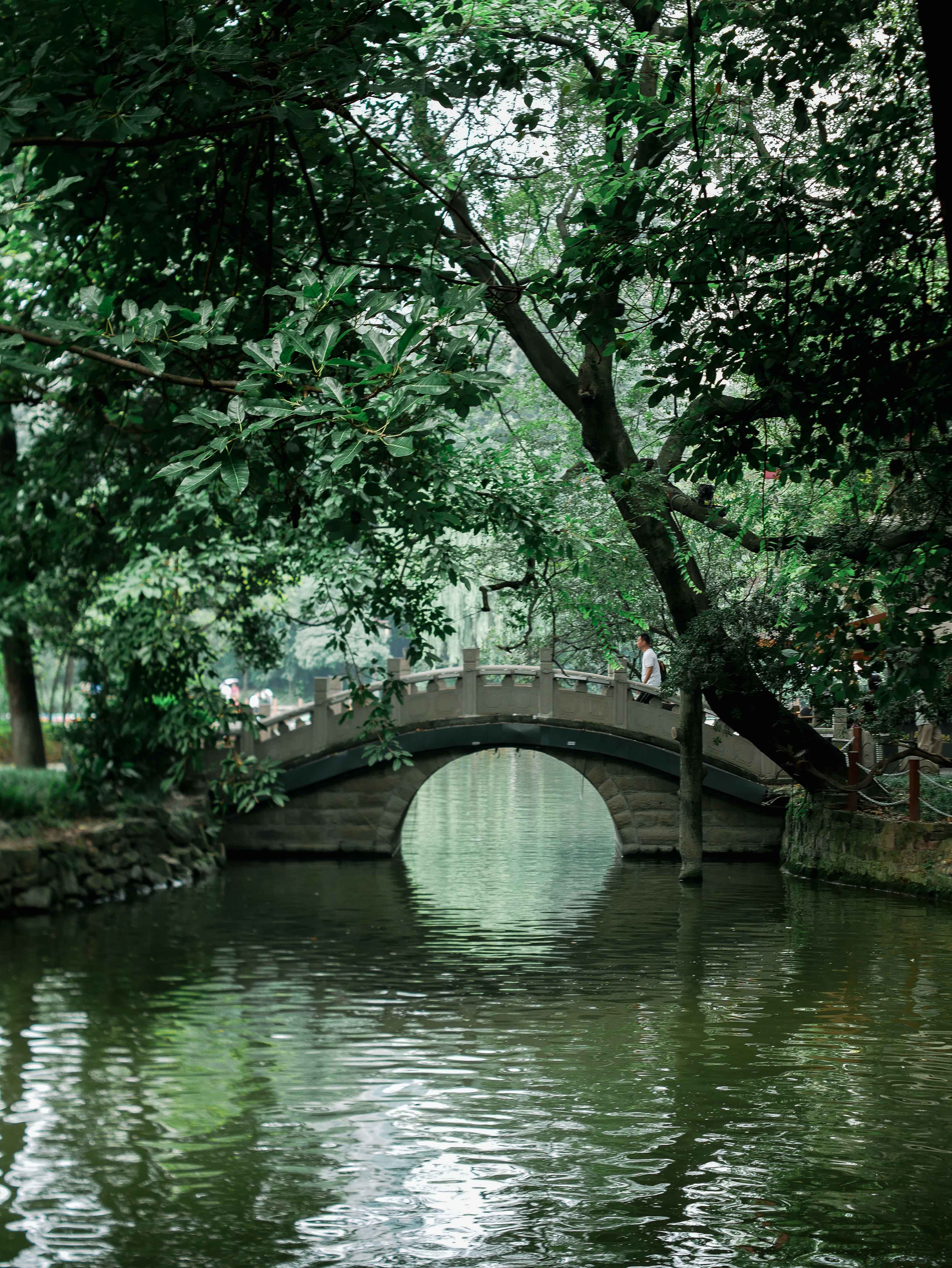 Panda Base, Kuanzhai Alley & People’s Park Day Tour