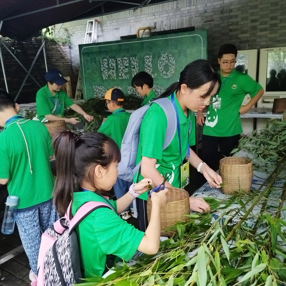 Chengdu Panda Volunteer Experience: One-Day Program