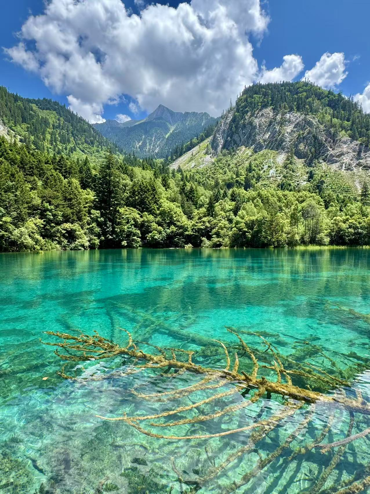 Jiuzhaigou & Huanglong 3-Day Tour