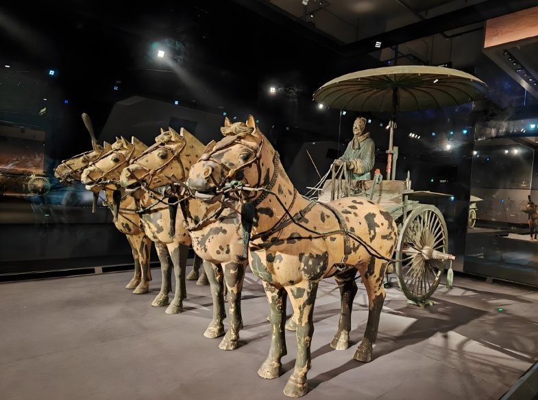 Terracotta Warriors & Huaqing Palace 1-Day Tour