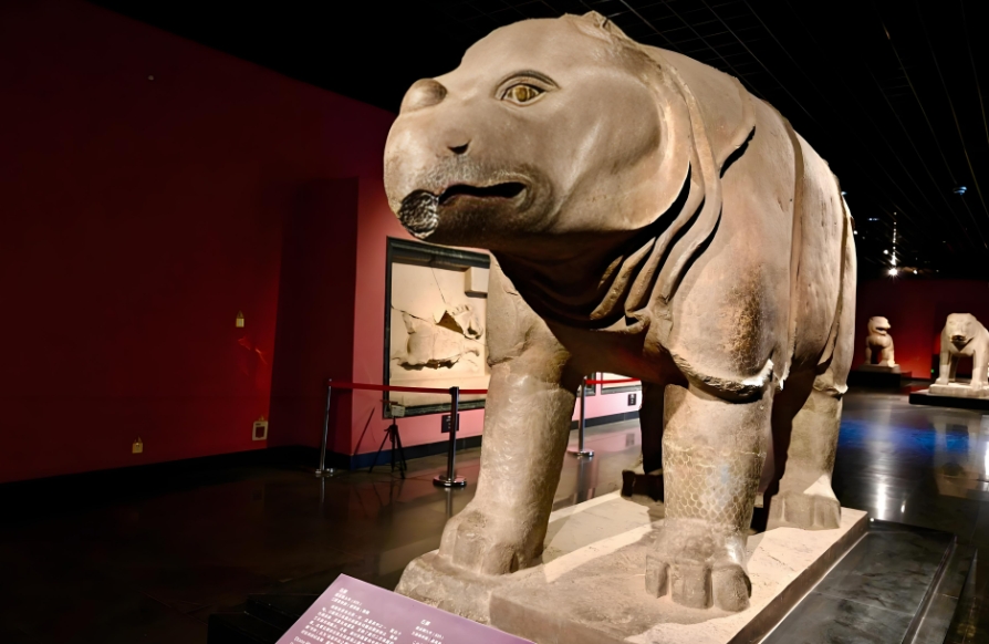 Xi’an Stele Forest Museum, Ming City Wall, Hui Ethnic Street & Bell and Drum Tower Square Day Tour