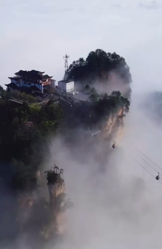 Zhangjiajie National Forest Park Day Tour