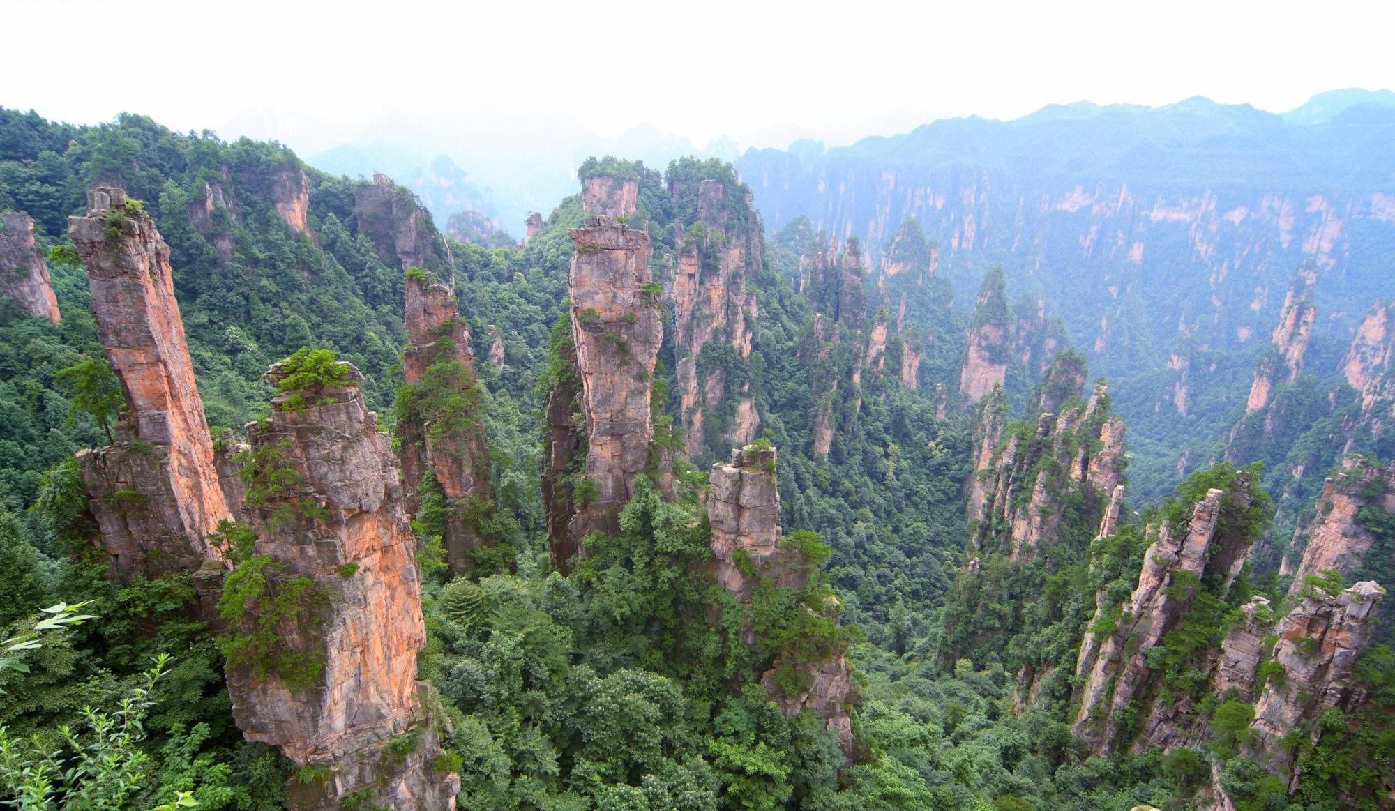 Zhangjiajie National Forest Park Day Tour