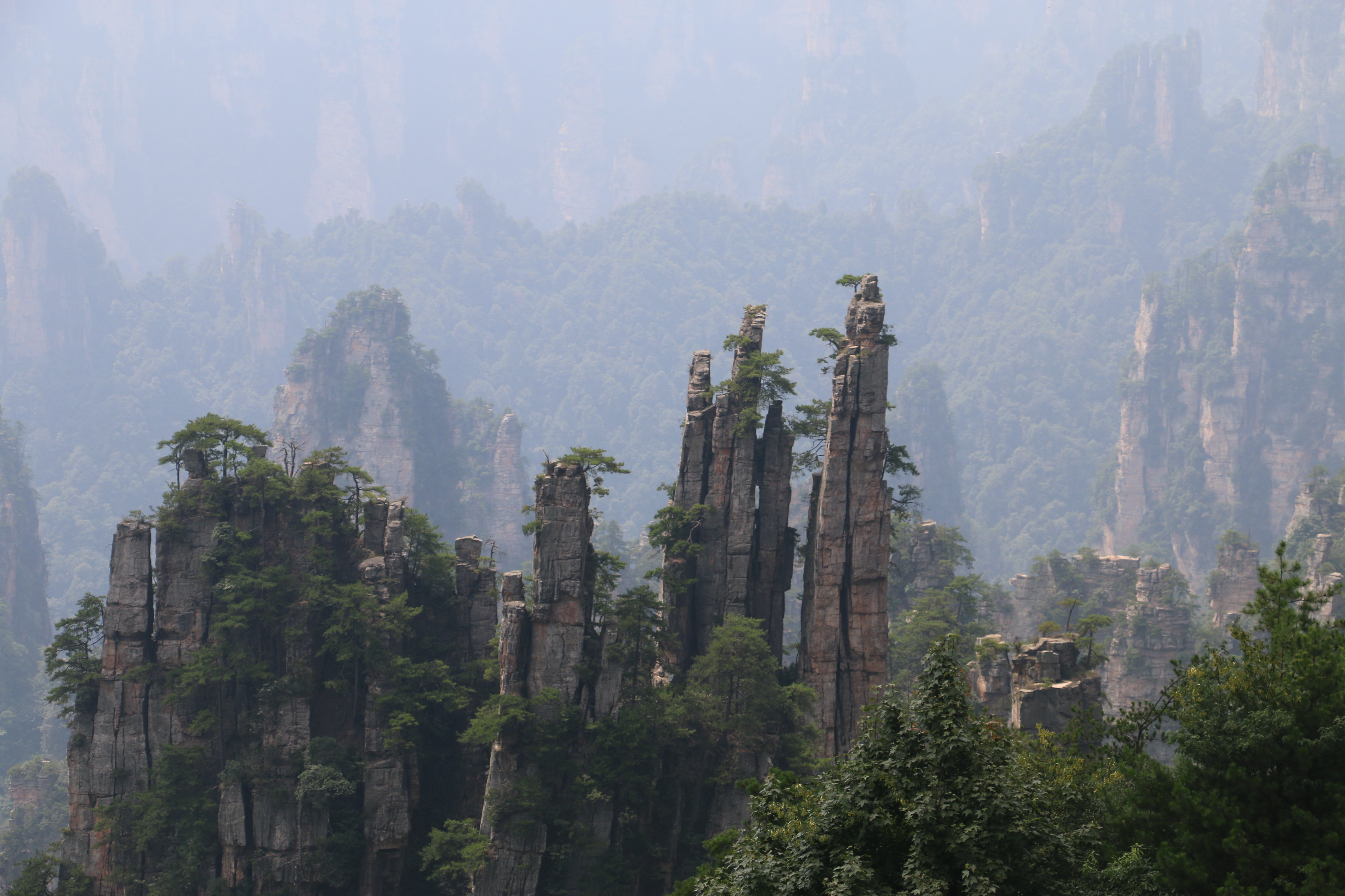 Zhangjiajie National Forest Park Day Tour